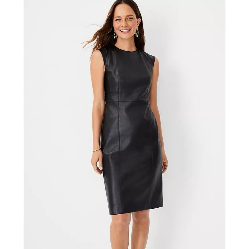 Ann Taylor faux leather Dress Size 2